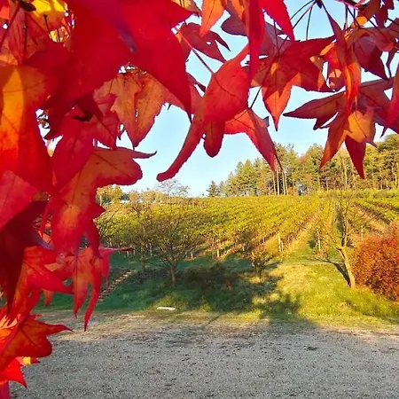 ファームステイ La Valle Nervesa della Battaglia
