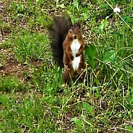La Valle Nervesa della Battaglia
