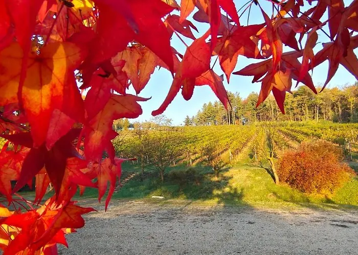 Κατάλυμα σε φάρμα La Valle Nervesa della Battaglia