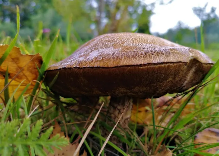 La Valle Κατάλυμα σε φάρμα Nervesa della Battaglia
