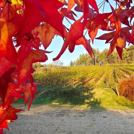 Фермерский дом La Valle Nervesa della Battaglia