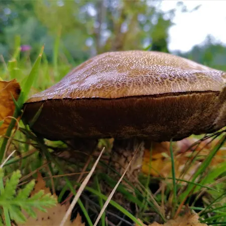 La Valle Фермерский дом Nervesa della Battaglia