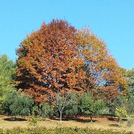 La Valle * Nervesa della Battaglia