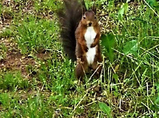 La Valle Nervesa della Battaglia